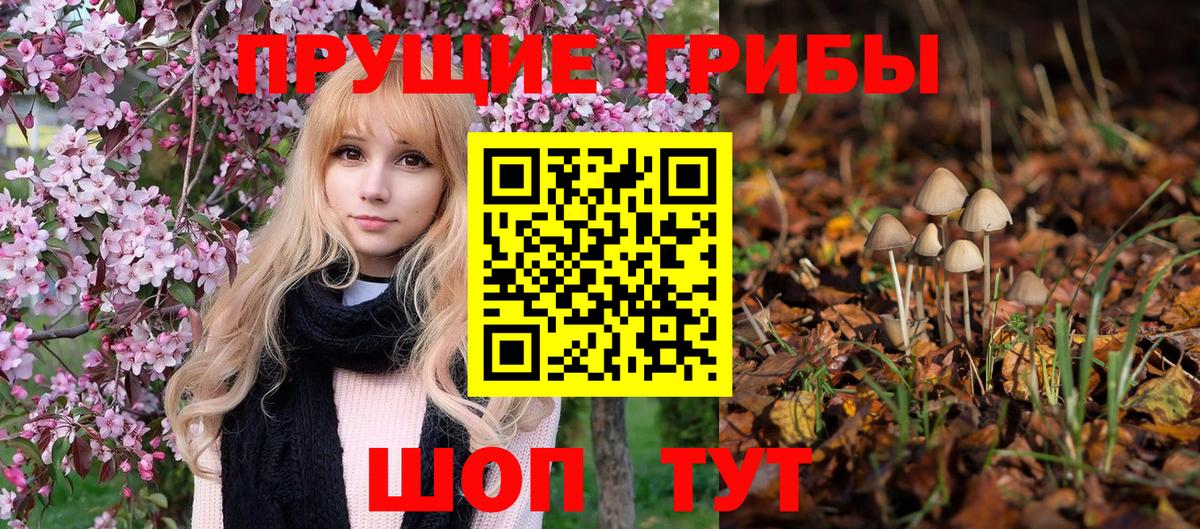 дарнет шоп  Псилоцибиновые грибы Magic Shrooms  Вход с VPN  Валуйки 