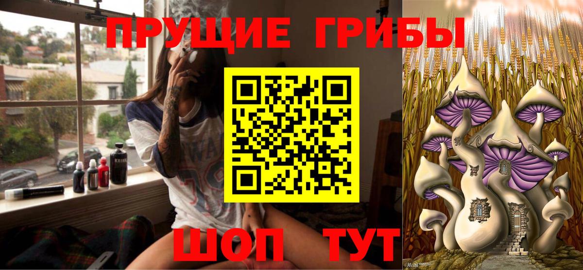 Псилоцибиновые грибы Psilocybe Валуйки